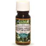 Saloos esenciální olej Eukalyptus Citriodora 20 ml – Hledejceny.cz