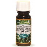 Saloos esenciální olej Eukalyptus Citriodora 20 ml – Zbozi.Blesk.cz