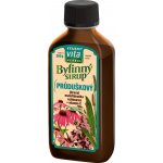 MaxiVita Průduškový bylinný sirup 260 g – Hledejceny.cz