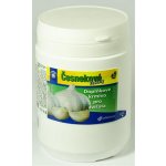 NutriHorse česnekové tabletky 0,5 kg – Hledejceny.cz