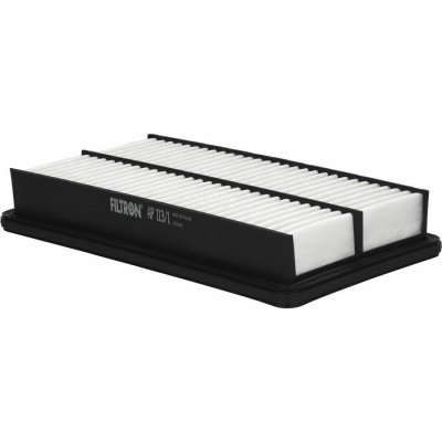 Vzduchový filtr FILTRON AP 113/1 – Hledejceny.cz