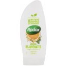 Sprchový gel Radox Feel rejuvenated sprchový gel 250 ml