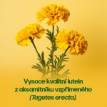 Walmark Lutein Plus 60 tobolek – Hledejceny.cz