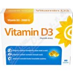 Pamex Vitamin D3 2000IU 60 tobolek – Hledejceny.cz