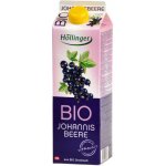 Hollinger Bio džus černý rybíz 1 l – Zbozi.Blesk.cz