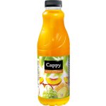 Cappy džus Multivitamin 1 l – Hledejceny.cz