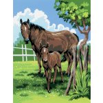 Royal Langnickel Malování podle čísel 22x30 cm - Koně – Zboží Mobilmania