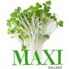Osivo a semínko Brokolice – semínka na klíčení 100g