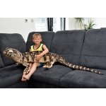 varan hnědý 198 x 74 x 30 cm – Sleviste.cz