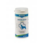 Canina Česnekový koncentrát plv 225 g – Hledejceny.cz