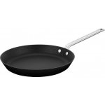 Scanpan TechnIQ 30 cm – Zbozi.Blesk.cz