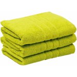 Profod Ručník Sofie zelená pistáciová 50 x 100 cm – Sleviste.cz