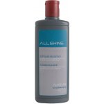Alveus ALLSHINE čistící prostředek na dřezy 250 ml – HobbyKompas.cz