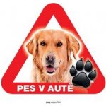 Grel nálepka na sklo pozor pes v autě zlatý retrívr – Hledejceny.cz