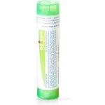TEUCRIUM MARUM POR 5CH GRA 1X4G – Hledejceny.cz
