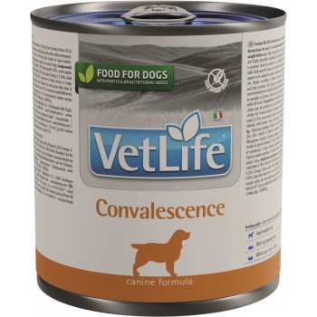 Vet Life Natural Dog Convalescence 300 g