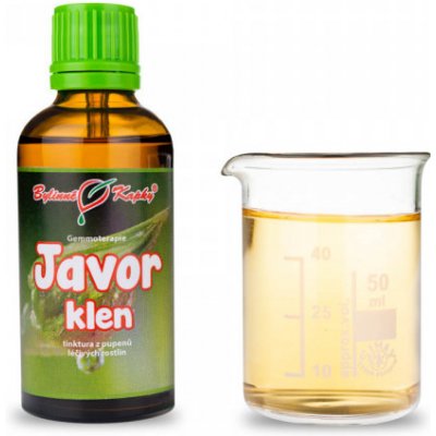 Bylinné kapky Gemmoterapie Javor klen pupeny tinktura z pupenů 50 ml – Hledejceny.cz