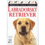 Labradorský retriever – Hledejceny.cz
