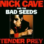 Nick Cave & The Bad Seeds - Tender Prey – Hledejceny.cz