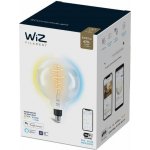 WiZ 871869978673101 LED EEK2021 G A G E27 6.7 W = 40 W ovládání přes mobilní aplikaci 1 ks – Hledejceny.cz