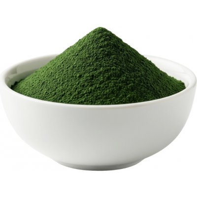 Zdravý den Chlorella bio prášek 100 g – Hledejceny.cz