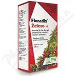 Salus Floradix Železo+ 500 ml – Zbozi.Blesk.cz