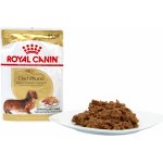 Royal Canin Breed Jezevčík 85 g – Sleviste.cz