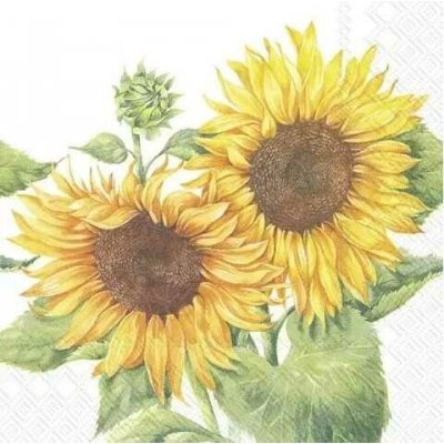 IHR Ideal Home Range GTIN ubrousek 33x33cm Podzimní slunečnice – Hledejceny.cz