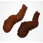 Hovínko rovné – Hledejceny.cz