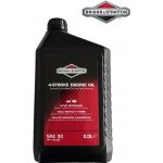 Briggs & Stratton SAE 30 2 l | Zboží Auto