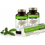 Apothecary Chioská masticha 2x Masticha Active + HP Test kúra 2 x 100 kapslí – Sleviste.cz