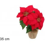 PROHOME - Vánoční růže 35cm juta – Hledejceny.cz