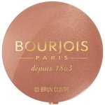 Bourjois Fard Pastel Tvářenka 3 Brun Cuivre 2,5 g – Hledejceny.cz