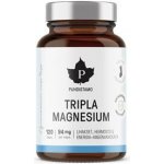 Puhdistamo Triple Magnesium 120 kapslí – Zboží Mobilmania