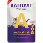 Kattovit Vital Care Anti Hairball Salmon 85 g – Sleviste.cz