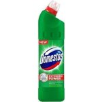 Domestos Extended Power čisticí přípravek na toalety Pine 1250 ml – Zbozi.Blesk.cz