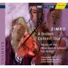 Hudba Zimro, A Broken Concert T Vogler String Quartet