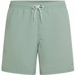 O'Neill PM Vert Shorts pánské šortky do vody – Sleviste.cz