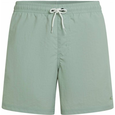 O'Neill PM Vert Shorts pánské šortky do vody – Sleviste.cz