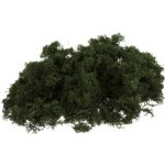 Severský mech 300g tmavě zelený – Hledejceny.cz