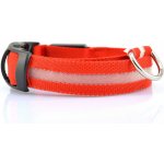 Palkar svítící obojek z popruhu pro psy – Sleviste.cz