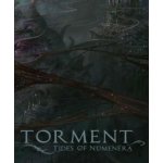 Torment: Tides of Numenera – Zboží Živě