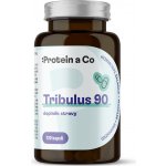 Protein&Co. Tribulus 90 60 tablet – Hledejceny.cz