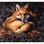 Malování podle čísel Liška – Sleviste.cz