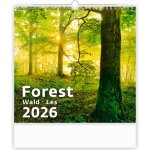 Helma nástěnný Forest/Wald/Les 30 × 30 cm 2026 – Zboží Mobilmania