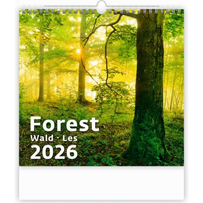 Helma nástěnný Forest/Wald/Les 30 × 30 cm 2026 – Zboží Mobilmania