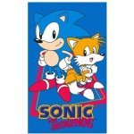 Carbotex Dětský ručník Ježek Sonic 30 x 50 cm – Zboží Mobilmania