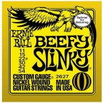 Ernie Ball 2627 – Zboží Dáma