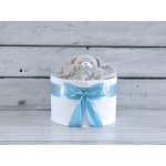 dortNEdort Mini plenkový dort s medvídkem usínáčkem Miminko se ještě nenarodilo modrý mašle, Korpus dortu: Tetra plena – Zboží Dáma