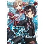 Seqoy s.r.o. Kniha Sword Art Online - Aincrad 2 – Hledejceny.cz